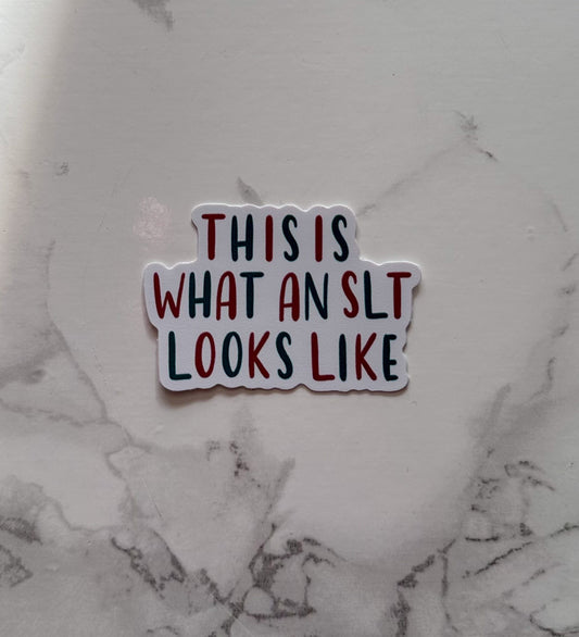 this is what an SLT looks like | sticker