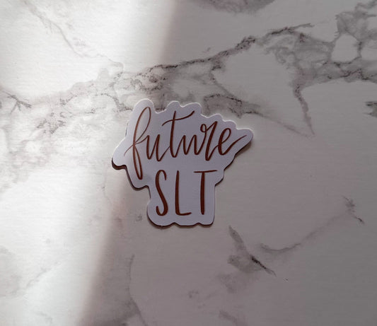 future SLT | sticker