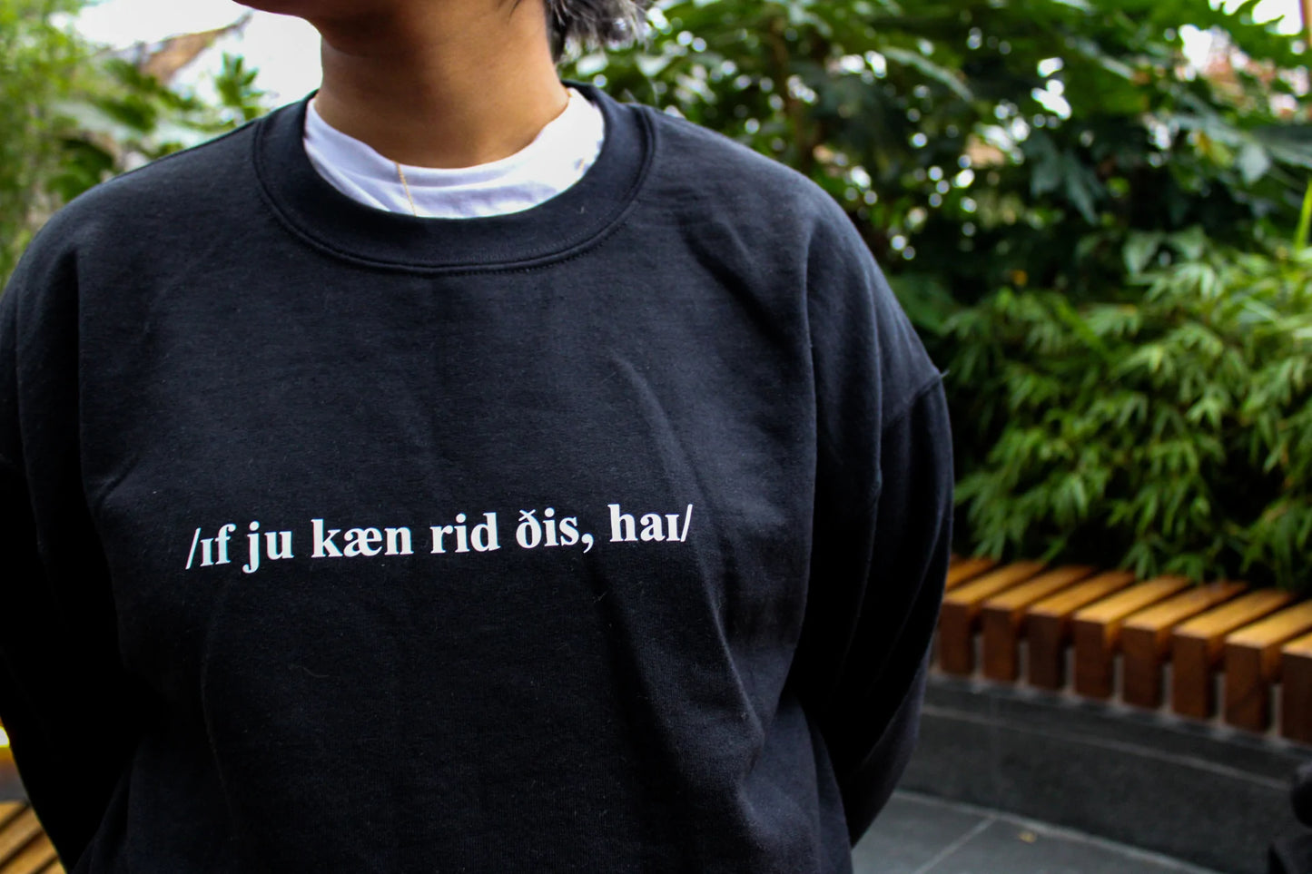 if you can read this, hi, phonetic IPA | sweatshirt pre-order